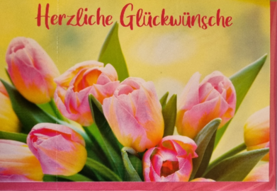 Glückwunschbillett 03-40-3161