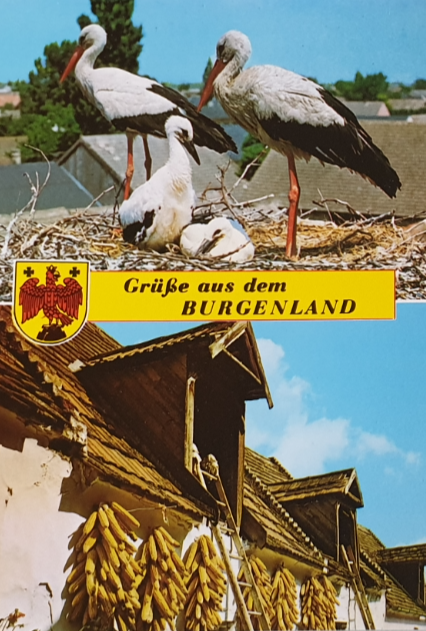 AK - Burgenland - Allgemein 01-7000-104