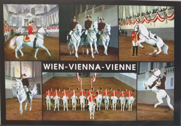 AK - Wien 01-18148